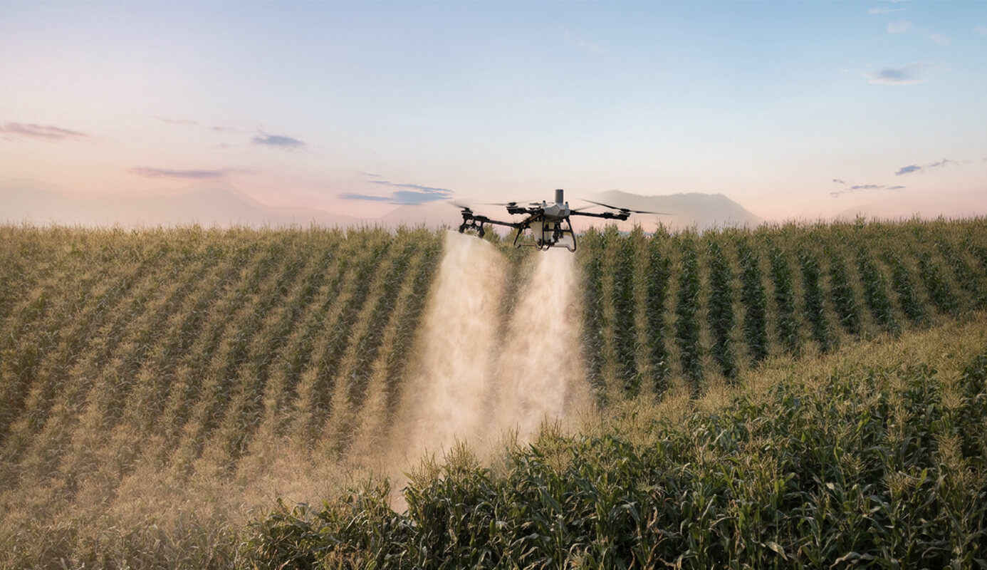Dron DJI Agras T55 aplicando aspersión en un campo de cultivo